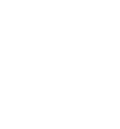 Wasit Group